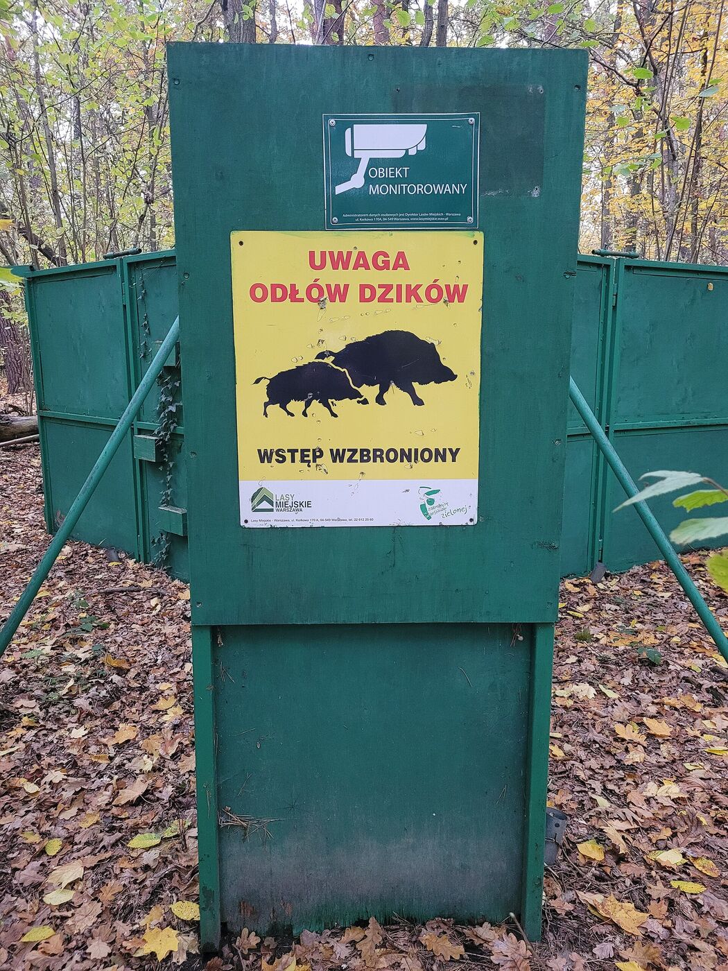 hog, Laurens County